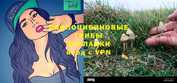 стафф Балабаново