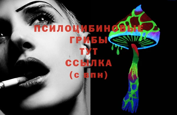 дмт Армянск