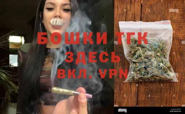 спиды Аркадак