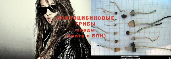 стафф Балабаново
