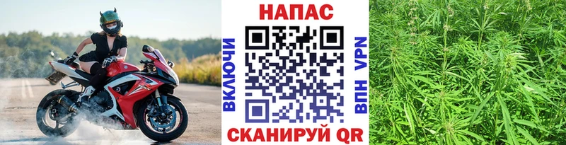 Бошки Шишки VHQ  MEGA ONION  Волгоград 